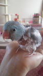 2012040912280001.jpg