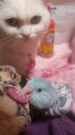 2012040818270000.jpg