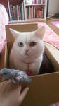 2012041109550000.jpg