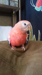 2012042110500000.jpg