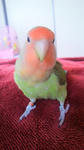 2012042209440000.jpg