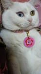 2012042320530000.jpg