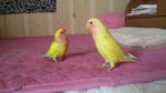 2012042713560000.jpg