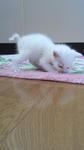 2012060107300000.jpg