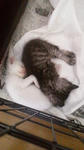 2012053117190000.jpg