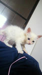 2012061317190001.jpg