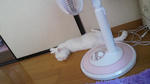 2012062014450000.jpg