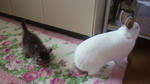 2012061906560001.jpg
