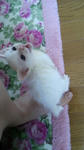 2012061511400000.jpg