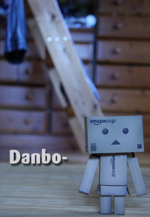 danbo.jpg