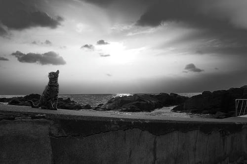 _MG_0543.JPG