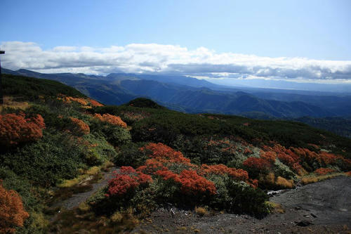 _MG_1921.JPG