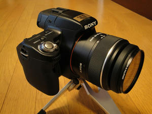 DSC00717.jpg