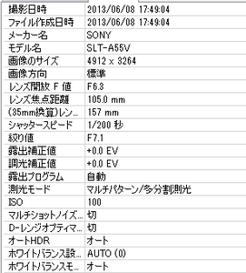 SLT55.PNG