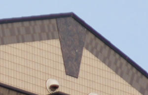DSC01353_SLT55_TRIM.jpg