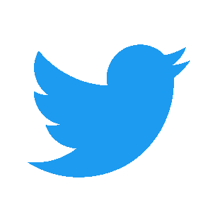 official X(twitter)