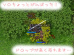 兄貴もいいでｓ