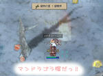 これほしかったの！