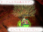 もりのき。