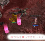 ラッコ捕獲失敗…