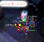 ヾ(･ω･`;)ﾉぁゎゎ