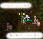 （*ﾉｪﾉ）ｷｬｰ