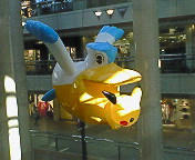 200810211431000.jpg