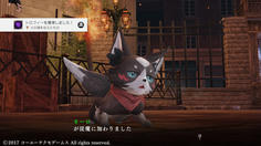 初めての従魔、ネーロは昔よく主人公と遊んでいた仲だった　従魔だとは思ってなかったようだが