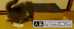 br_decobanner_20100907000803.gif
