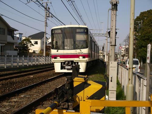 20090321_0020.jpg