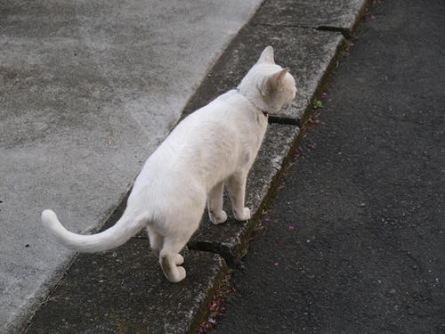 20090321_0030.jpg
