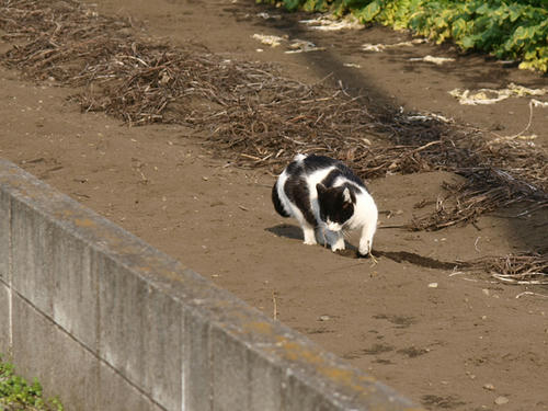 20090321_0032.jpg