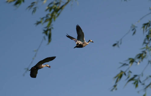 c_20090426_0034.jpg
