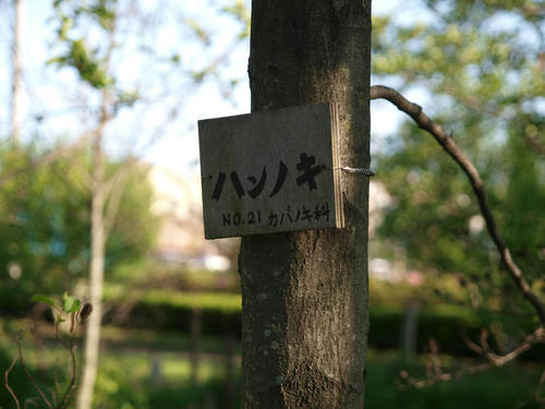 c_20090426_0042.jpg