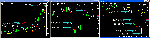 81422b33.gif