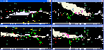 2010.11.29M15.gif