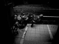 IMG_0711.jpg