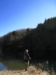 IMG_1112.gif