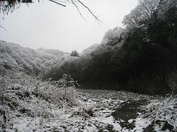 IMG_1211.jpg