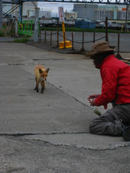 IMG_1523.JPG