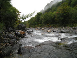 IMG_0791.JPG