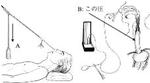 figure45.jpg