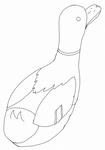 マガモ風4