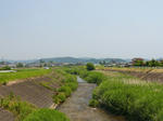 夏の川