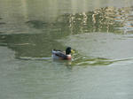 DSCN1323.JPG