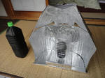 DSC00017.JPG