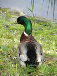 DSCN3077.JPG
