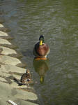 DSCN4467.JPG