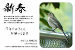 新春