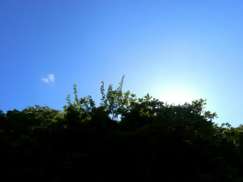 R0012456.JPG